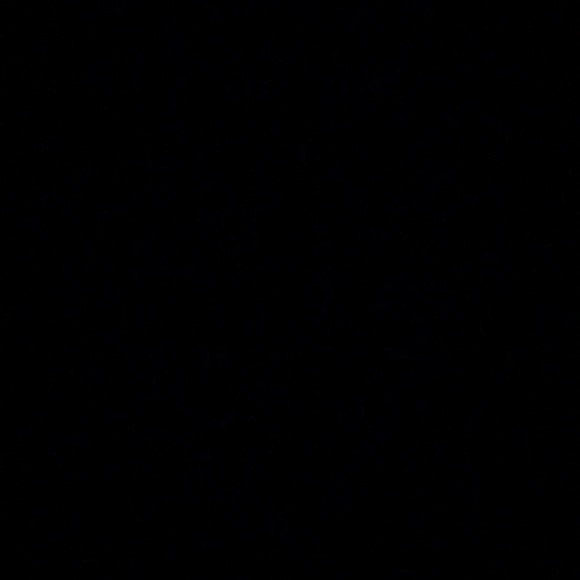 Meet your Posher, Rian - Picture 1 of 1